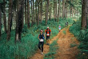 BIB: 
                            <button type="button" onclick="openModal(25747642)" class="btn btn-primary btn-sm float-right btn-popup" data-toggle="modal" data-target=".modal-high-quality">
                        <i class="fas fa-shopping-cart"></i> Add to Cart
                    </button>
                                            <button type="button" onclick="isThisMe(25747642, true)" class="btn btn-success btn-sm float-right btn-popup btn-isme hidden" data-toggle="tooltip" data-placement="bottom" title="นี่คือรูปของคุณใช่ไหม คลิกที่นี่เพื่อเอาเข้าอัลบั้ม">
                        <i class="fas fa-plus"></i> Add to album
                    </button>
                    <button type="button" onclick="isThisMe(25747642, false)" class="btn btn-warning btn-sm float-right btn-popup btn-isnotme hidden">
                        <i class="fas fa-ban"></i> Remove from album
                    </button>